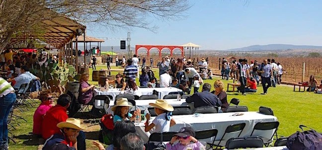 Festival 100 Vinos Mexicanos, Ezequiel Montes