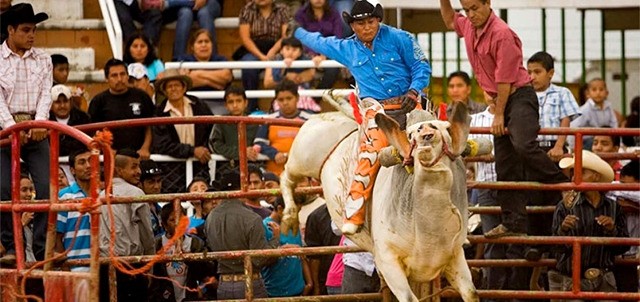 Feria Nacional del Mole, Ciudad de México
