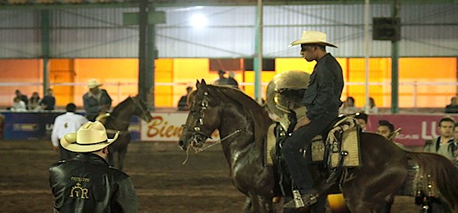Feria Internacional del Caballo, Texcoco
