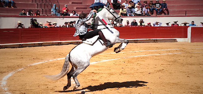 Feria Internacional del Caballo, Texcoco