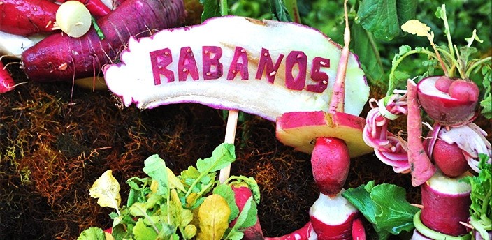 Noche de los Rábanos, Oaxaca