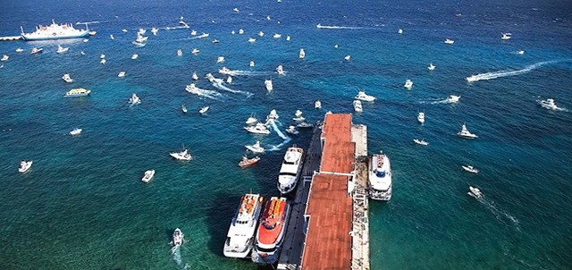 Cozumel International Billfish Release Tournament , Cozumel