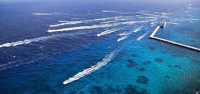Cozumel International Billfish Release Tournament , Cozumel