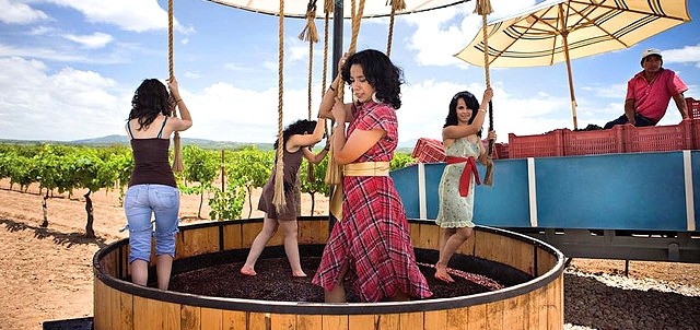 Fiestas de la Vendimia Valle de Guadalupe, Ensenada