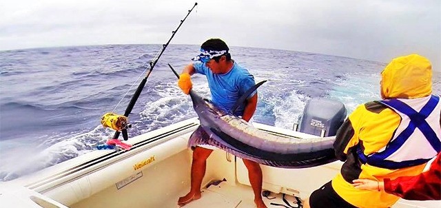 Torneo Internacional de Pesca de Marlín y Atún, Puerto Vallarta