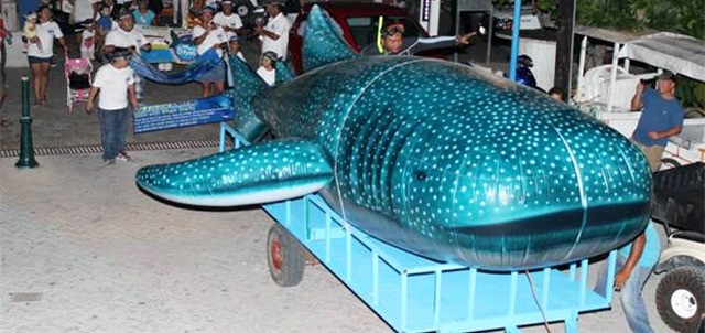 Whale Shark Festival, Isla Mujeres