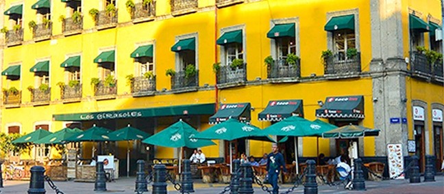 Los Girasoles