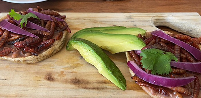 Los Negritos, Tula de Allende