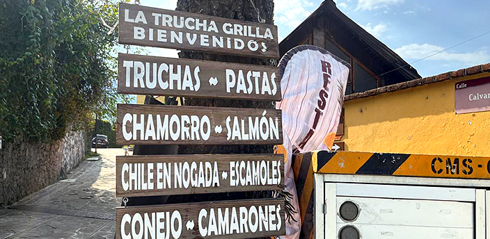La Trucha Grilla, Mineral del Chico