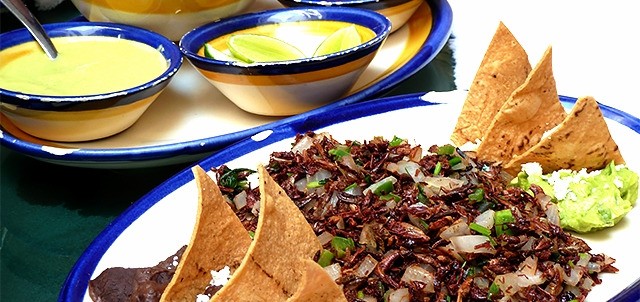 El Sabor de Oaxaca, Huatulco