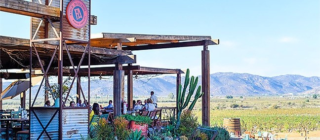 Finca Altozano, Valle de Guadalupe
