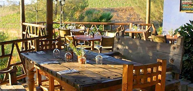 Malva, Valle de Guadalupe