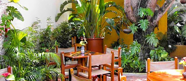 Guidos, Cozumel