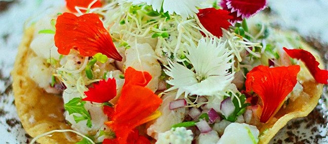 La Cevichería Tabasco, Villahermosa
