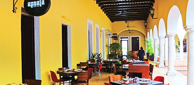 Apoala, Mérida