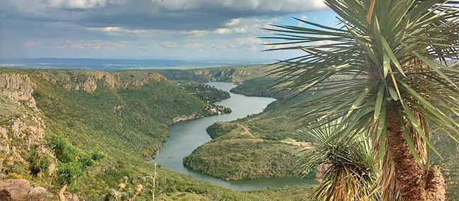 El Mirador, San José de Gracia