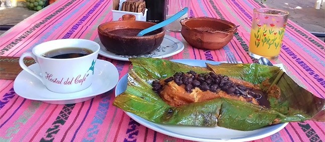 Hostal del Cafe, Xilitla