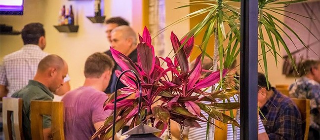 360 Cocina Urbana, Nuevo Casas Grandes