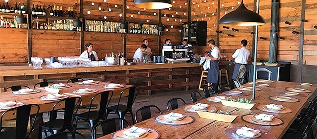 Fauna, Valle de Guadalupe