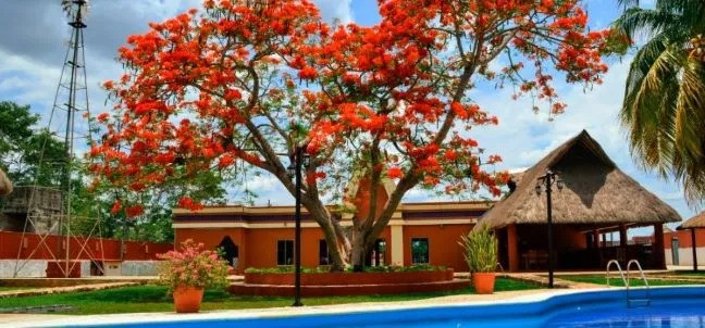 La Finca Puuc