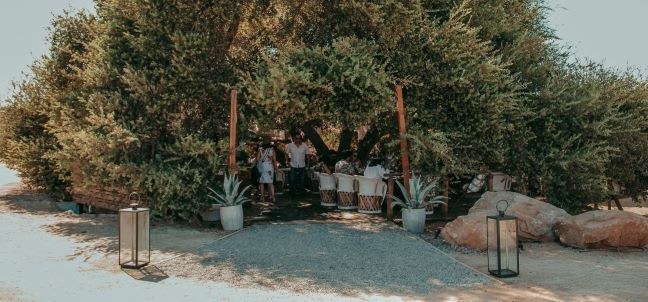 Animalón, Valle de Guadalupe