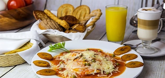 La Gavia, Xalapa