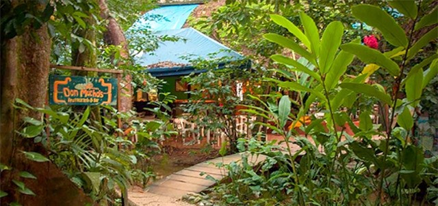Don Muchos, Palenque