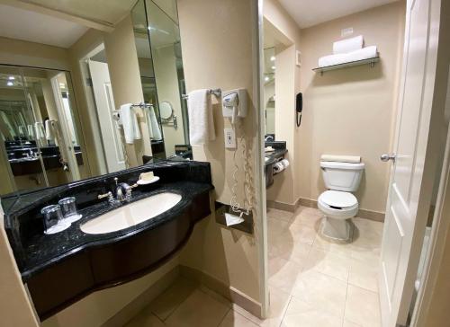Safi Royal Luxury Valle, Monterrey