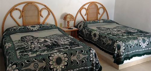 Villa de las Flores, Tecozautla