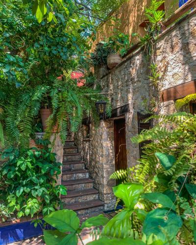 La Casa Del Guamúchil, Tequesquitengo