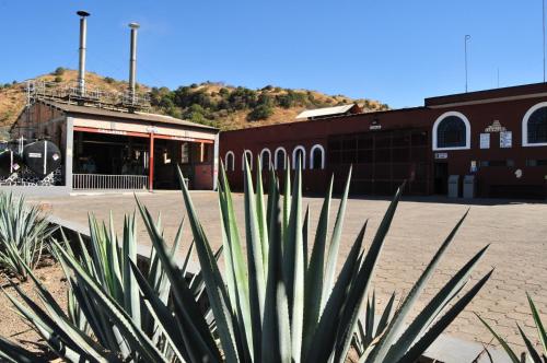 Matices Hotel de Barricas, Tequila