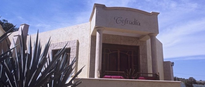 Matices Hotel de Barricas, Tequila