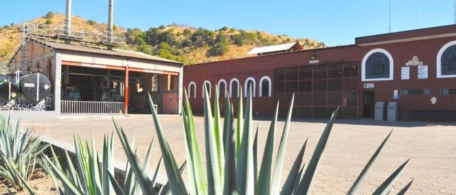 Matices Hotel de Barricas, Tequila