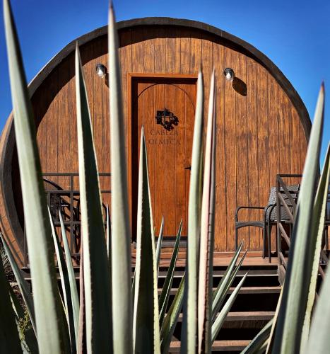 Matices Hotel de Barricas, Tequila