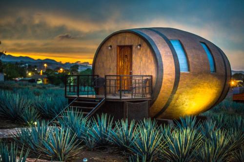Matices Hotel de Barricas, Tequila