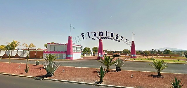 Flamingos, Tizayuca