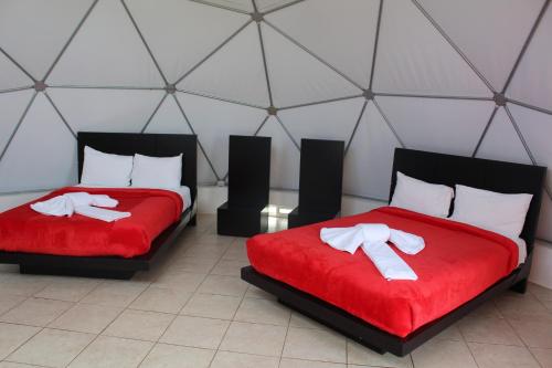 Hotel y Glamping Huasca Sierra Verde, San Miguel Regla ( Huasca de Ocampo )
