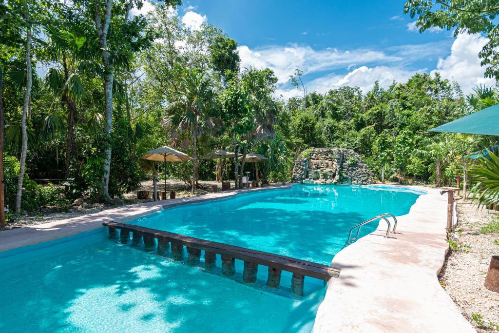 Jolie Jungle, Puerto Morelos