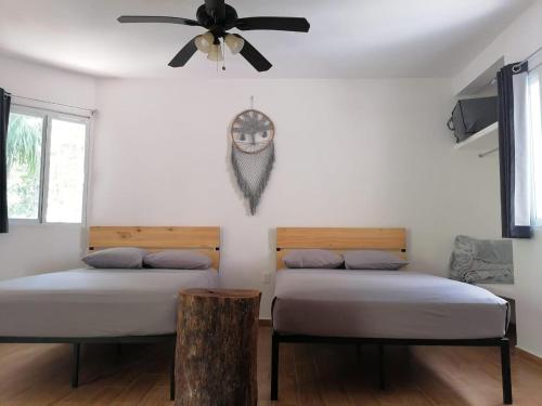 Jolie Jungle, Puerto Morelos