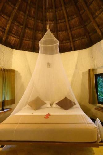 Jolie Jungle, Puerto Morelos