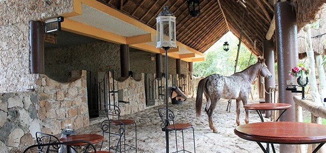 La Caprichozza, Mérida