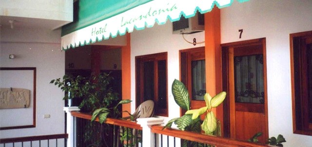 Lacandonia, Palenque