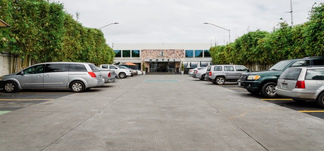 Velario, Tijuana