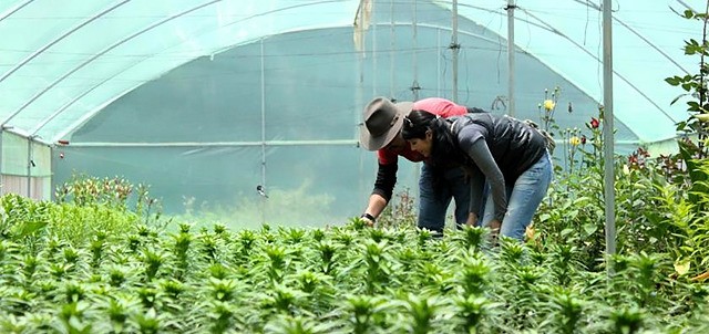 Centro Ecoturístico Cabañas Nevería, La Nevería