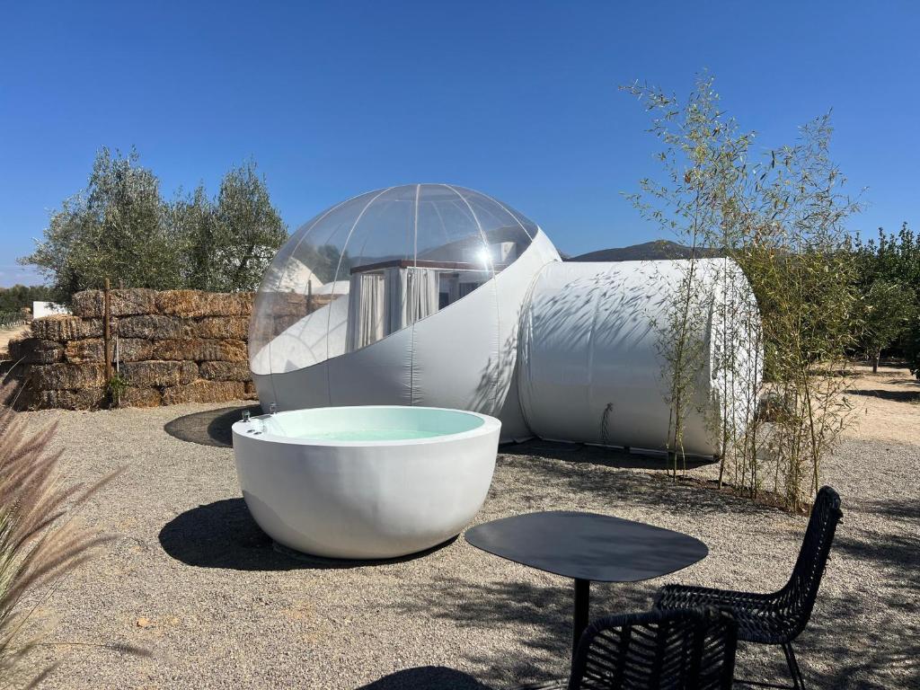 Campera Hotel Burbuja, Valle de Guadalupe