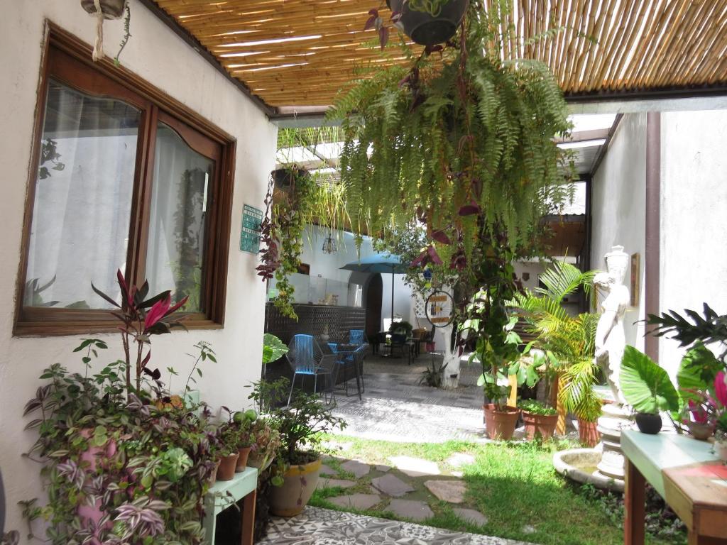 Hoja Santa, Cholula