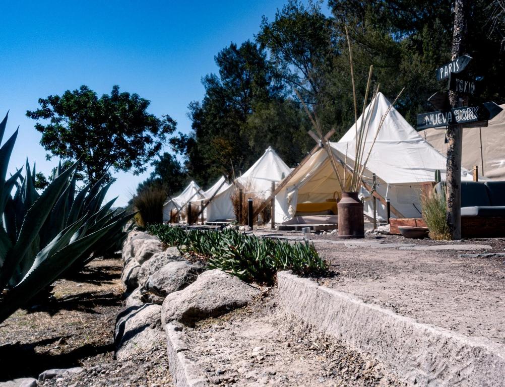 Nómada Glamping SMA, San Miguel de Allende