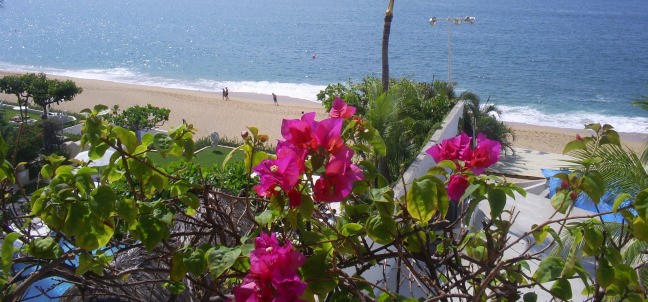 Acapulco Malibu, Acapulco
