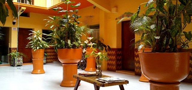 América, Cuernavaca