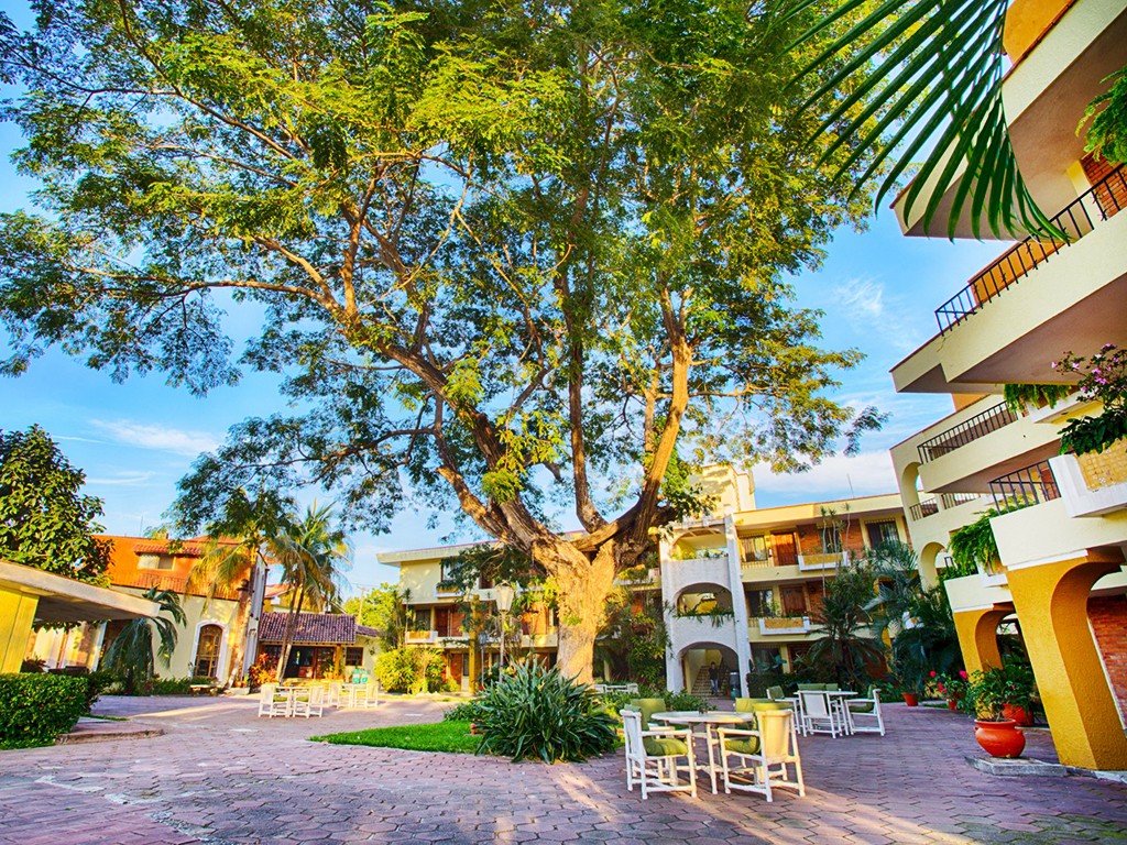 Garza Canela, San Blas